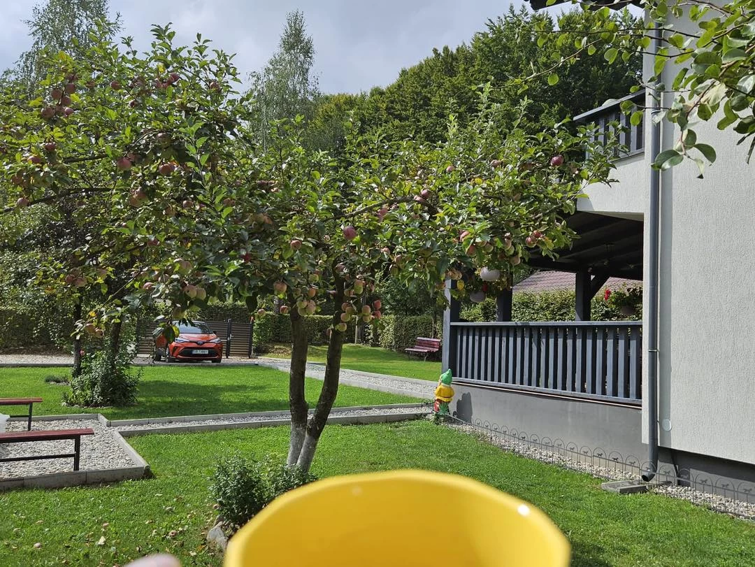 Palatul Brukenthal